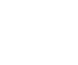 fisio in pelve